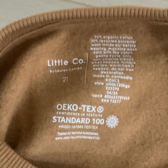 NWT!! Pumpkin Lightweight Sweatshirt Orange/Brown 2T - Picture 3 of 4